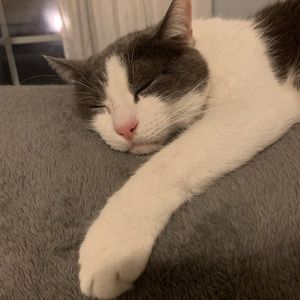 Meet your Posher, Lucie